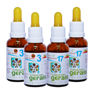 desintoxicacao1-f83d2e5b5705a616d516443301090657-320-0 KIT + DESINTOXICAÇÃO (4 COMPOSTOS) - Imagem 1